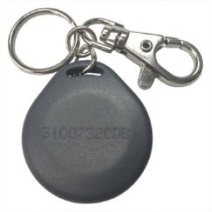 PPC - Badge porte-clés robuste gris - CDVI 26 BITS WEIGAND